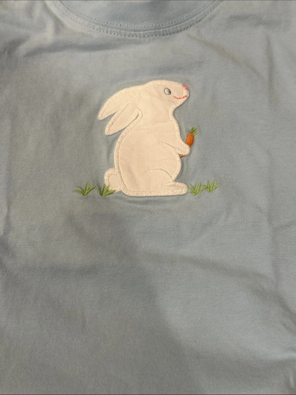 Bailey Boys Light Blue Bunny Set